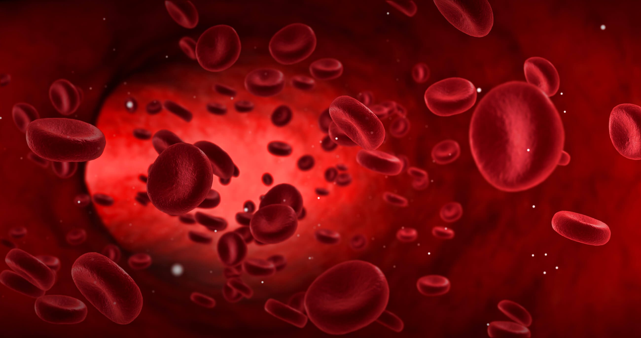 Red Blood Cell Alloimmunisation - Women's Health Fact Sheet